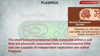 #Micro30 Bacterial Cytology - Extrachromosomal DNA - The Plasmid - Kukreja Girish #shorts