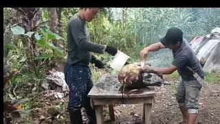 Old Igorot way of cooking Watwat and Dinakdakan 