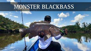 PART 1,FISHING CAMP HARI PERTAMA LANGSUNG PESTA STRIKE, BLACKBASS KALTARA !!