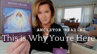 Message From The Ancestors : *This Is Why You're HERE*