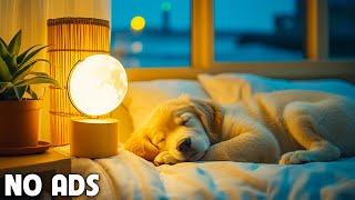 Calming Music For Dogs ⭐ Music Helps Dog Relax - Deep Sleep And Reduce Separation Anxiety 