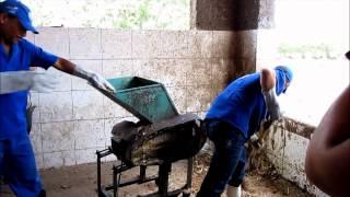 Cactus chopped mechanically for livestock feeding