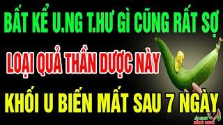 Bác Sỹ Mách Bạn Quả Mướp Cực Tốt Cho Sức Khỏe, Ai Cũng Nên Biết Để Sống Khỏe Mạnh Mỗi Ngày