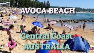 BEAUTIFUL AUSTRALIAN BEACHES:  AVOCA BEACH (CENTRAL COAST) NSW AUSTRALIA