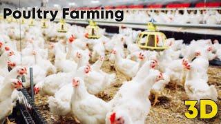 Poultry Farming |3d animation | Class 9, Agriculture |