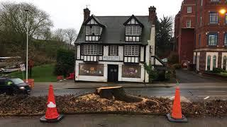 Exeter bus station - trees felled in preparation for upcoming redevelopment - April 2018
