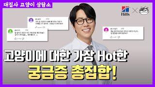 고양이 사료, 먹거리 고민이 이렇게 많았나요 ??  feat. 힐스와 함께 하는 댓글읽기 이벤트