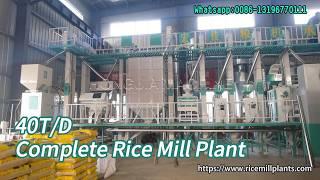 40T/D Complete Rice Processing Plant | Rice Milling Machinery for Sale - Hongjia Rice Mill