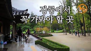 비 내리는 초당마을-허균, 허난설헌 기념관-울창한 소나무 숲을 걸어요(Rainy Chodang village-Heo Gyun, Heo Nanseolheon Memorial )