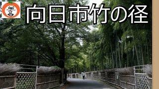 【 うろうろ近畿 】 京都府 向日市 西の岡 竹林道 竹の径 たけのみち かぐやひめ 孟宗竹 いろんな竹垣  京都府景観資産 京都府文化的景観 全国遊歩百選