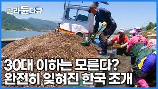 요즘은 이 맛을 모른다. 어느 순간 사라진 국산 초소형 조개?│중국산으로 대체되고 있는 재첩│섬진강 조업│재첩국│극한직업│#골라듄다큐