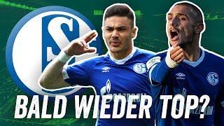 Warum Schalke die Bundesliga 2019/20 erobern wird!