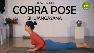 How To Do Cobra Pose or Bhujangasana | Cobra Pose |The Yoga Mile