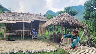 From Jungle to DREAM HOME! Bamboo House Construction Time Lapse