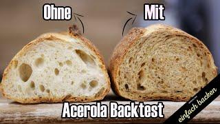 Acerola Fruchtpulver Backtest - Natürliches Backhilfsmittel