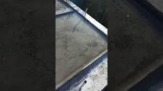 Roof Slab Curing Process | Construction Water Curing for Roof Slab