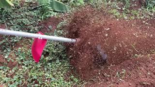 Honda UMK435T Brush cutter on Attachment of Mini Tiller flat blade type From Skylight Power