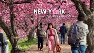 Spring in New York City! Cherry Blossom in Bridle Path 