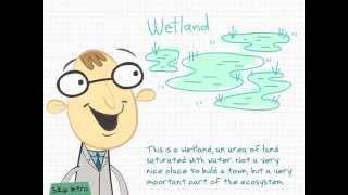 "iBiome-Wetland" HD trailer