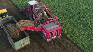 Grimme Rexor sugar beet harvester working in Norfolk by Farming Photography