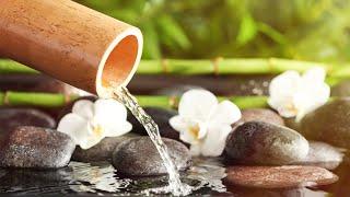 Bamboo Water Fountain Healing Music • Meditation Music, Yoga, Sleep, Spa