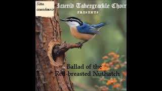 Ballad of the Red-breasted Nuthatch