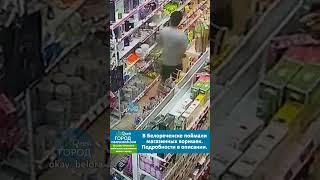 В Белореченске поймали магазинных воришек