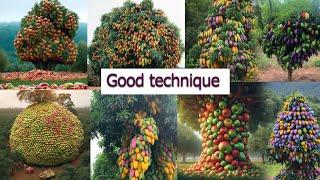 TOP VIDEOS :How to achieve explosive growth with innovative tree-growing videos #grow #plants #tree