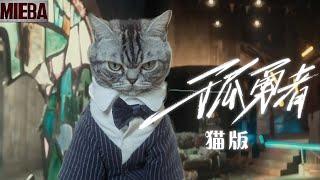 孤勇“猫”总有一天，我要让所有喵高看！