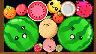 TOP 4 WATERMELON GAME - Merge Fruits Suika Game