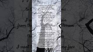  Nature and I  #poem #poetry #poetrycommunity #authortube #writing #inspiration #nature