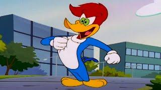 Woody Goes for the Grand Prize | 1 Hour of Woody Woodpecker Full Episodes