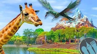 TOP RIDE TIPS for Disney's Animal Kingdom