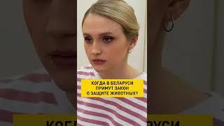 Защита животных в Беларуси: когда примут закон? #shorts #защитаживотных