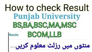 How to check result Punjab University 2024||pu result 2024||||Punjab University result 2024