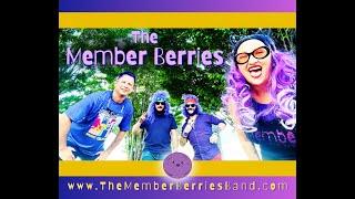 The Member Berries - "Dreams" (The Cranberries Cover)