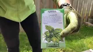 Earth Day Planting with Territorial Seed Company