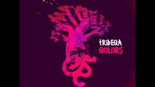 Tribeqa - Groove Band