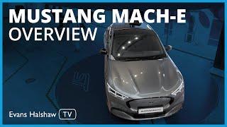 Ford Mustang Mach-E 2023 Overview: Walkaround and features | Evans Halshaw TV