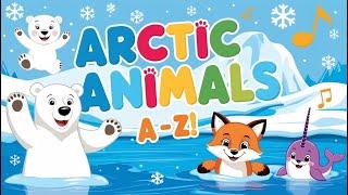 A-Z Arctic Animals ‍️ | Learn Arctic Animal Names & Sounds For Kids! | Fun Educational Video