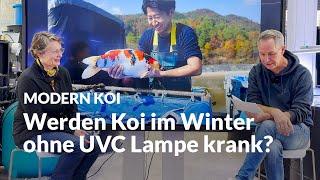 Kann man die UVC Lampe im Winter ausschalten? | Modern Koi Blog #7094