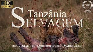 TANZÂNIA SELVAGEM | A Batalha Pela Sobrevivência dos Predadores Ferozes | Documentário Animais