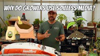 Why Do Growers Use Soilless Media?