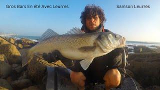 Gros Bars En été Avec Leurres. (Pêche au leurre du bord en mer) P 2