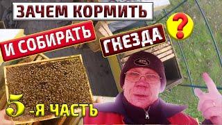 Пасека в ноябре Сборка гнезда пчел в зиму Зачем собирать гнезда #5