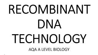 RECOMBINANT DNA TECHNOLOGY - AQA A LEVEL BIOLOGY + EXAM QUESTIONS RUN THROUGH