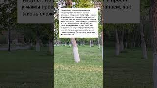 вот как сложилось #жизненныеистории #короткиеистории #реальныеистории