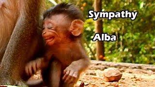 Sympathy Poor Baby Alba Face  | Alba Try Make This Face To Ask Mum Anna Stop Fight