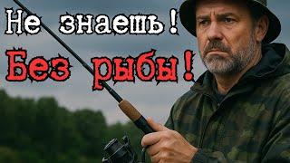 Не Иди на Рыбалку, Пока Не Узнаешь ЭТО о Погоде!