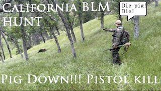 Pig hunting on California public lands "BLM". Pig-zilla down.